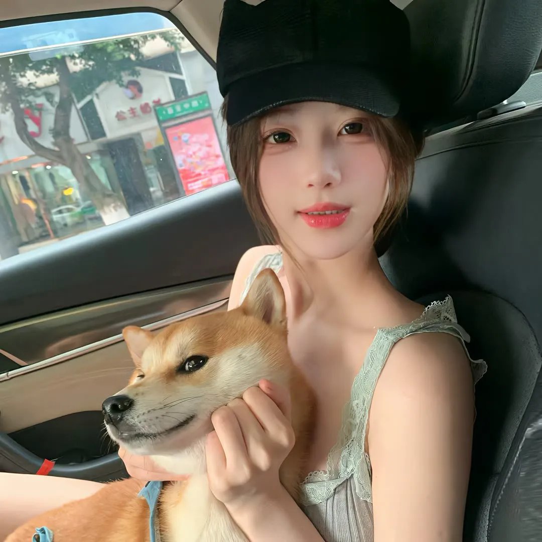 总统班底