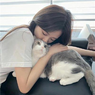 蝴蝶春梦